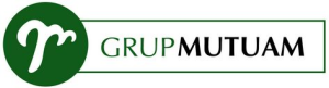 AulaVirtualMutuam